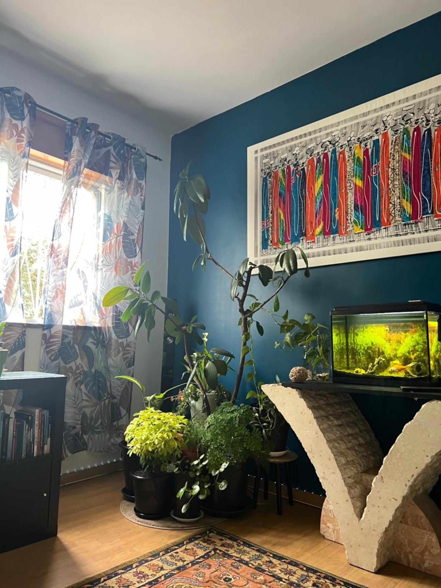 Paradise Camarate  Zewnętrze zdjęcie